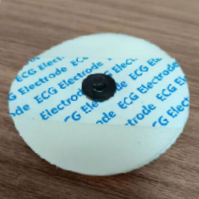 MRI Electrode