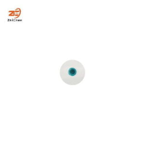 1 Tens Electrode Ws04